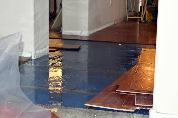 Professional Sewage Cleanup technician working in Arlington, MA